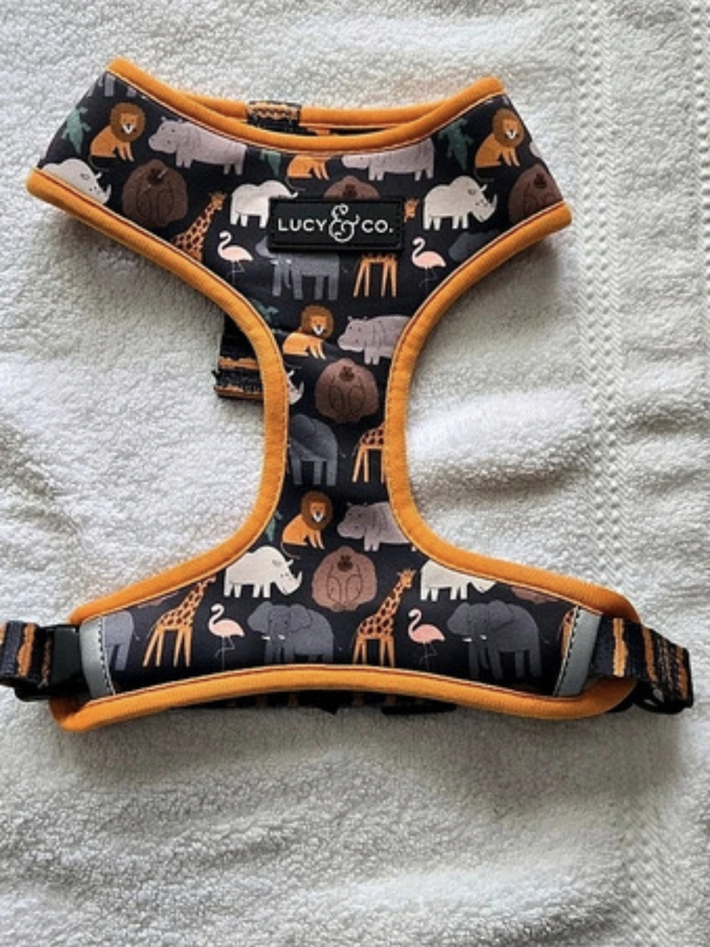 Lucy & Co. Wild About You Reversible Harness, Size Medium